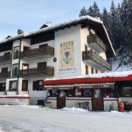 Hotel Genzianella Presenaio Экстерьер фото